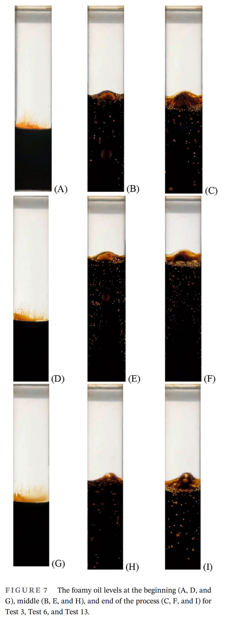图片包含 游戏机, 食物, 照片, 不同 AI 生成的内容可能不正确。