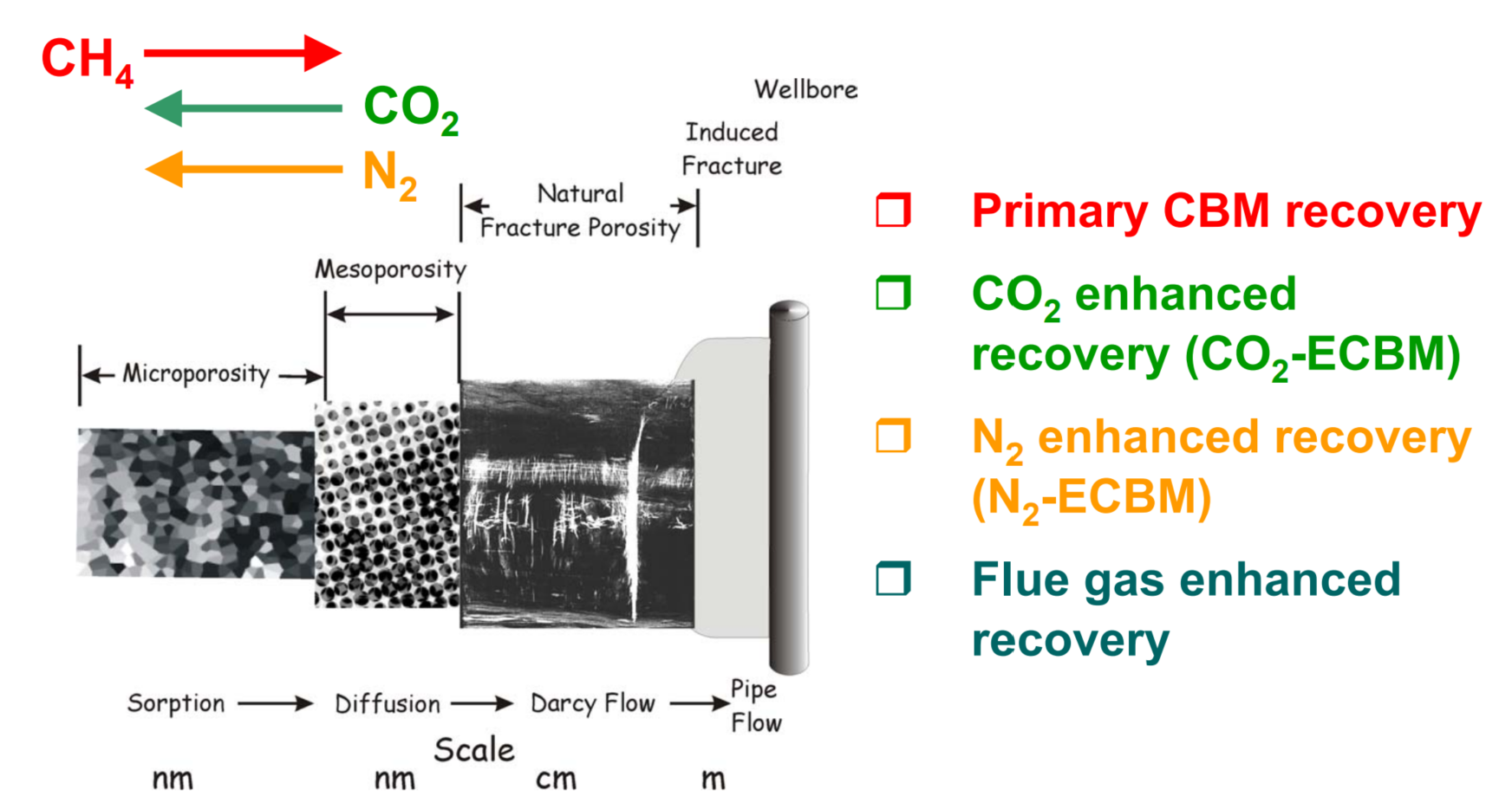 图示 AI 生成的内容可能不正确。