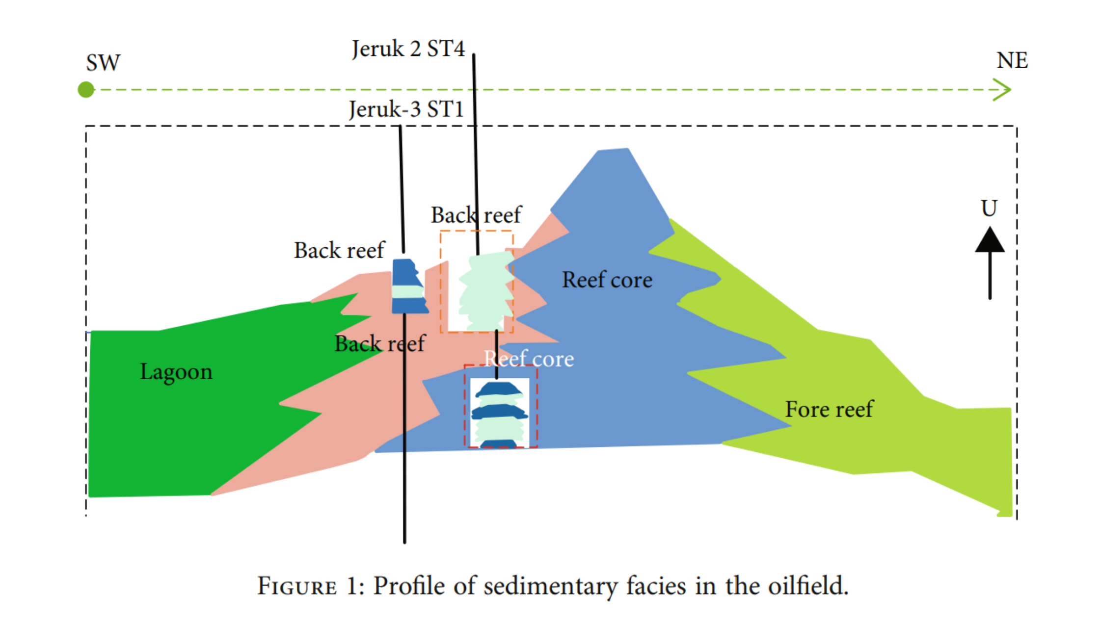 图示 AI 生成的内容可能不正确。