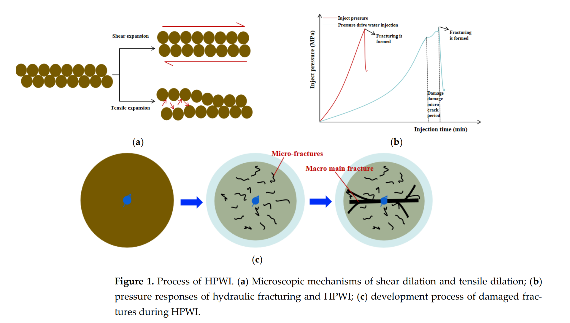 图示 AI 生成的内容可能不正确。
